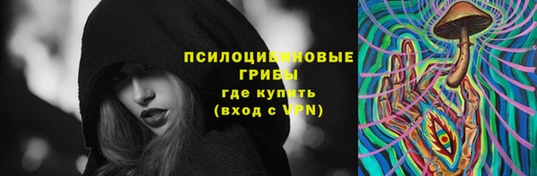 ПСИЛОЦИБИНОВЫЕ ГРИБЫ Абдулино