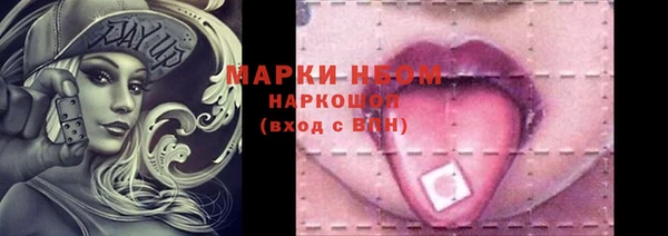 индика Саяногорск