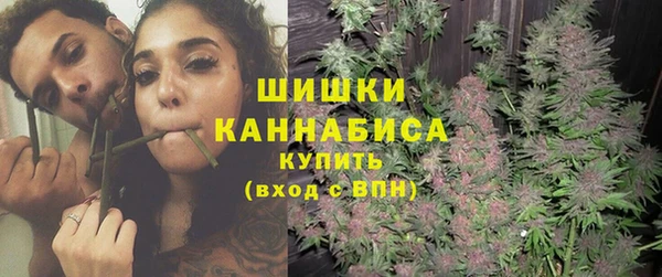дмт Сатка