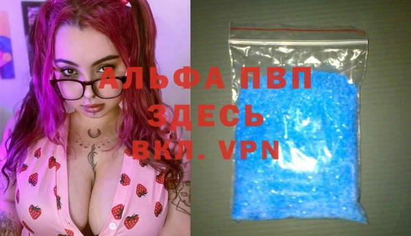 индика Саяногорск