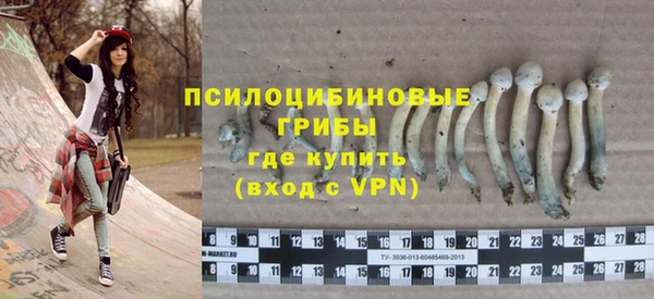 круглые Абаза