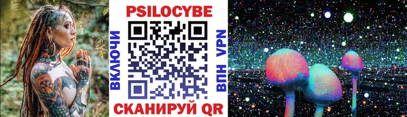 Псилоцибиновые грибы Cubensis  Касимов 